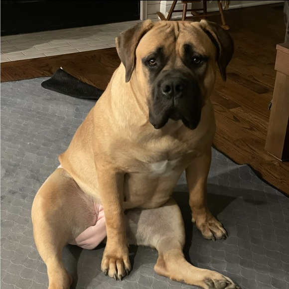 Like this flyer to be notified when I go Live! - Picture 11 of 13